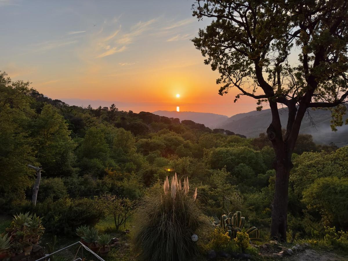 Cefalu Forest Hideout Экстерьер фото
