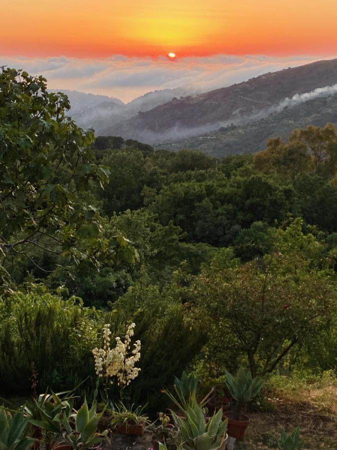 Cefalu Forest Hideout Экстерьер фото