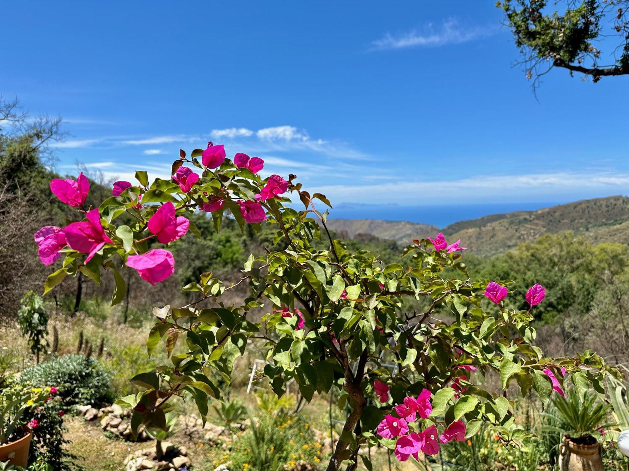 Cefalu Forest Hideout Экстерьер фото